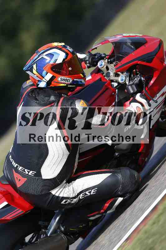 /47 12.08.2025 PADDYS-RACES-DAYS ADR/Sport-Profi/833